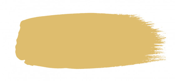 Little Greene Absolute Matt Emulsion Paint Light Gold 53 D Sample Pot 60ml